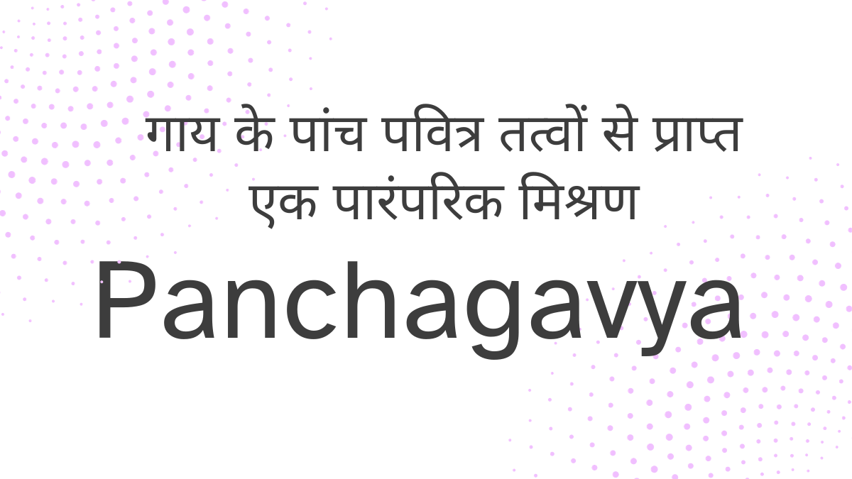 panchagavya