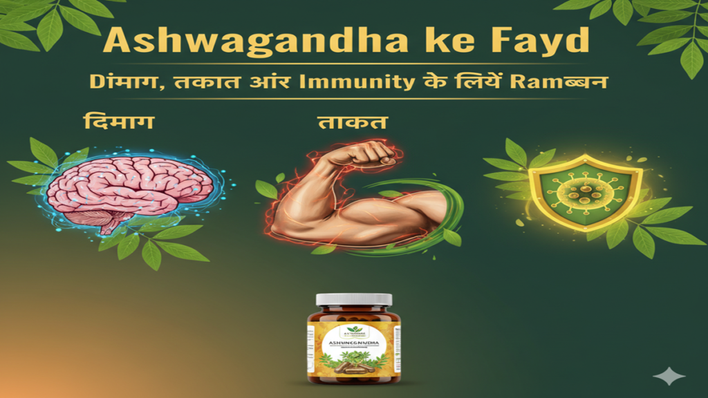 Ashwagandha ke Fayde Dimag, Takat aur Immunity ke Liye Ramban