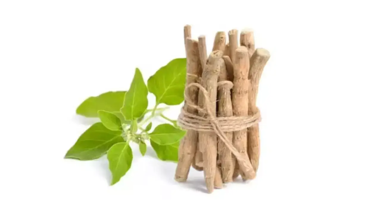 Ashwagandha ke Fayde