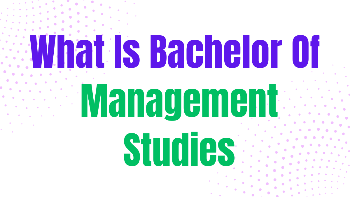 What Is Bachelor Of Management Studies