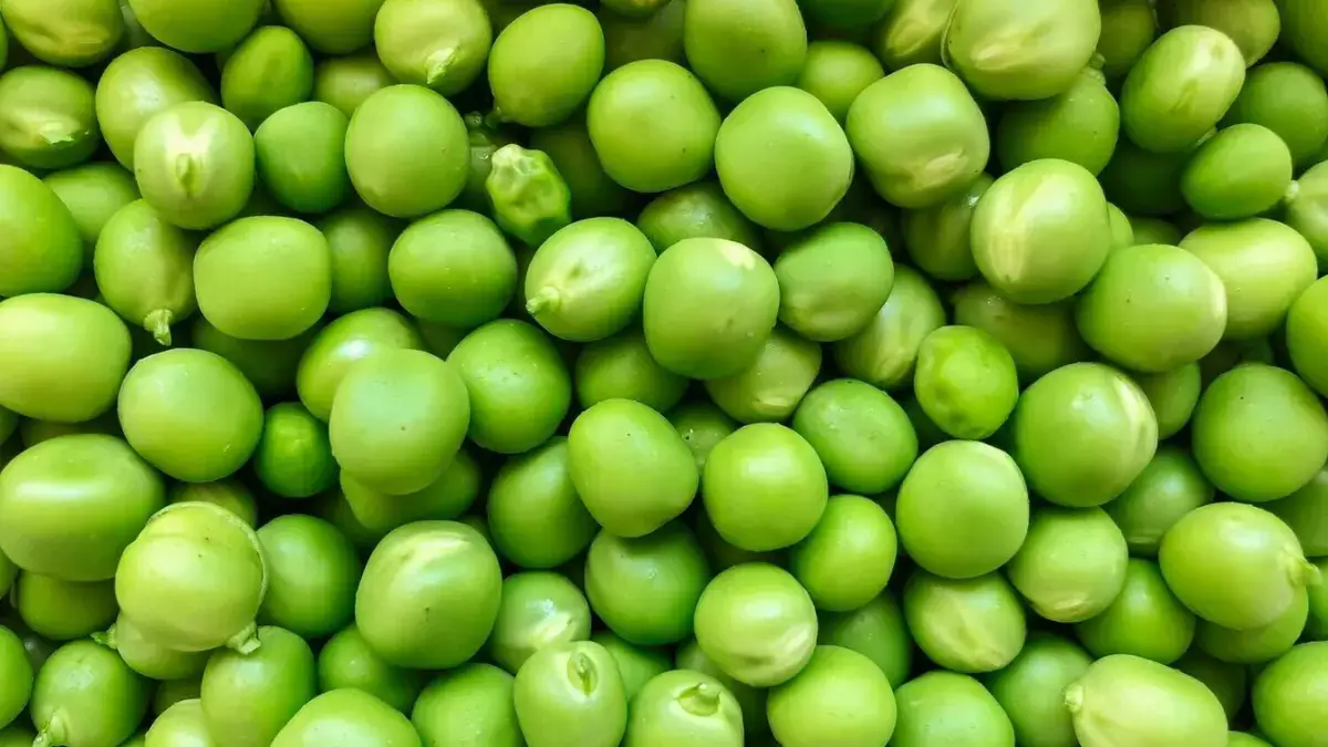 Bulk Split Peas