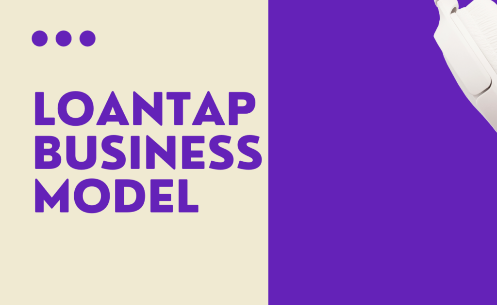 LoanTap business model