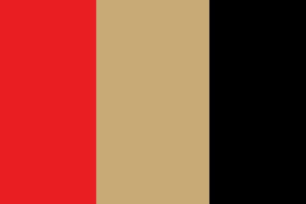 49ers colors