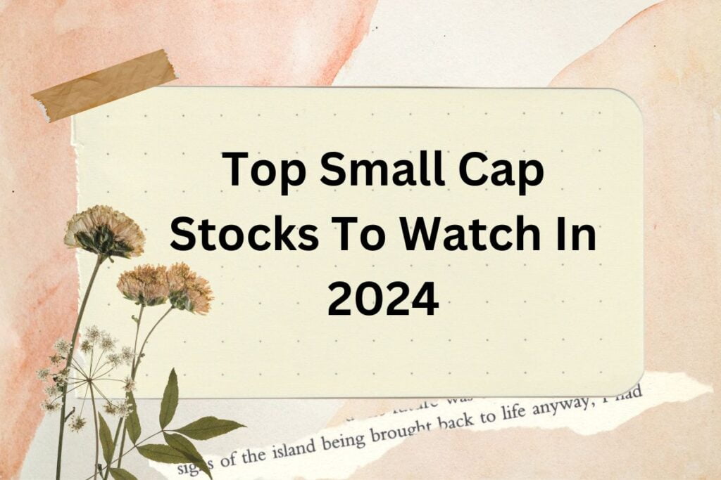 Top Small Cap Stocks To Watch In 2024