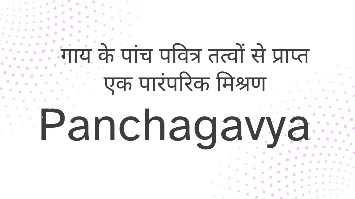panchagavya