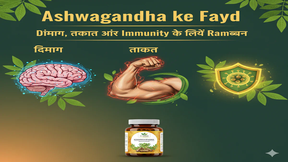 Ashwagandha ke Fayde: Dimag, Takat aur Immunity ke Liye Ramban 1 Ashwagandha ke Fayde Dimag, Takat aur Immunity ke Liye Ramban