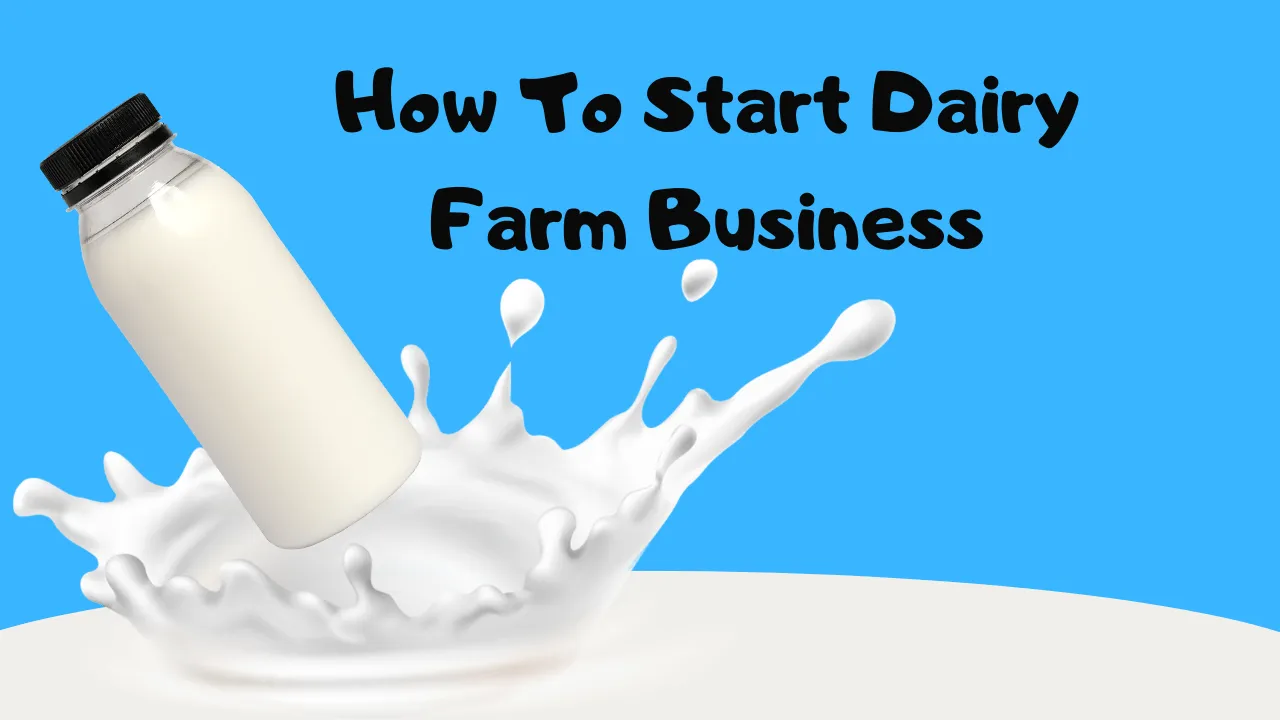 How To Start Dairy Farm Business