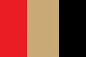 49ers colors